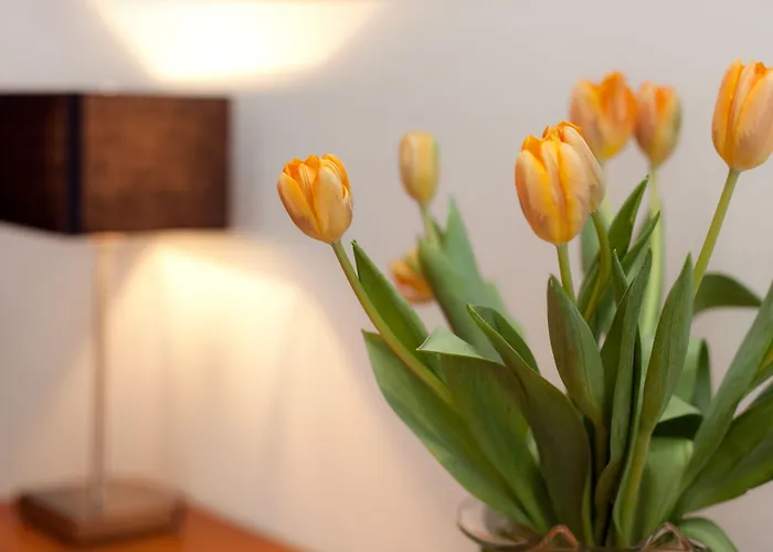 Gildors Atmosphere Dusseldorf