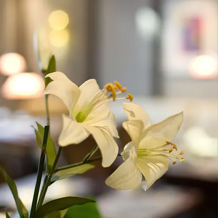 Hotel Gildors Atmosphere Düsseldorf