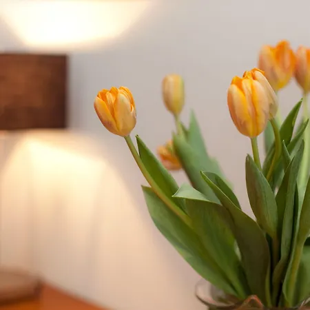 Gildors Atmosphere Düsseldorf