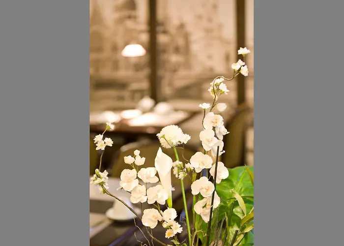 Gildors Atmosphere 3* Düsseldorf