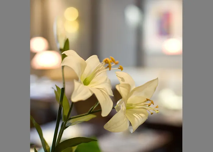 酒店 Gildors Atmosphere 杜塞尔多夫