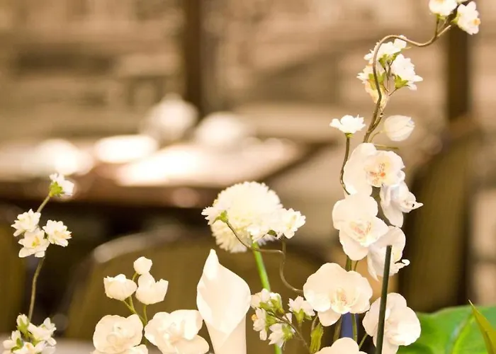 Gildors Atmosphere 酒店 杜塞尔多夫